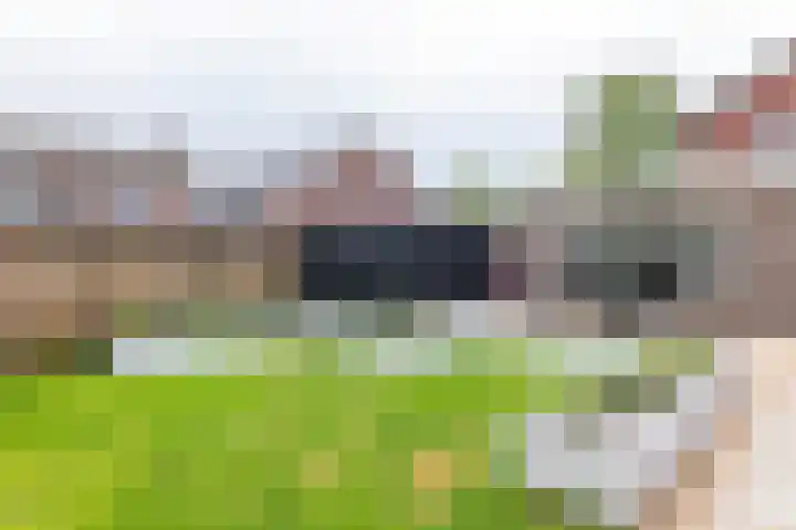 Prinsenkamp 29 Vroomshoop thumbnail 36