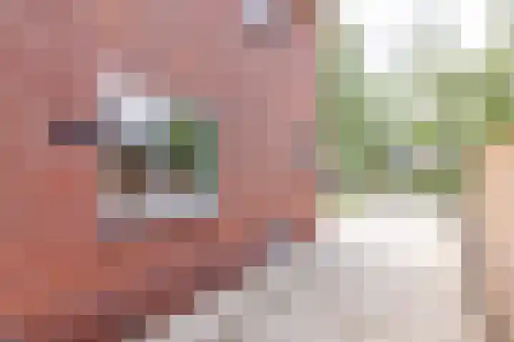 Prinsenkamp 29 Vroomshoop thumbnail 41