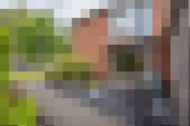 Prinsenkamp 29 Vroomshoop thumbnail 42
