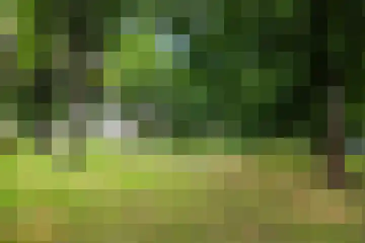Prinsenkamp 29 Vroomshoop thumbnail 44