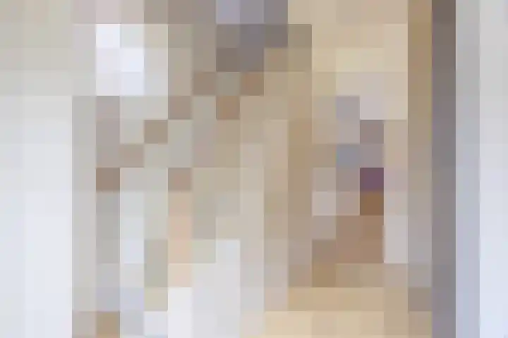Prinsenkamp 29 Vroomshoop thumbnail 6