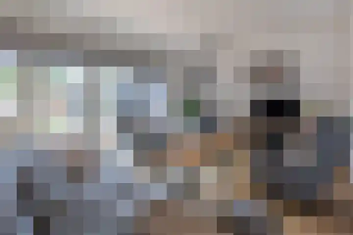 Prinsenkamp 29 Vroomshoop thumbnail 7