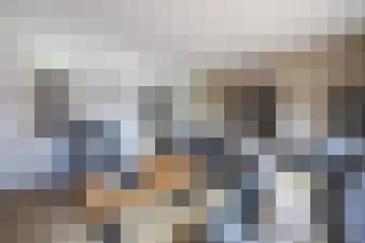 Prinsenkamp 29 Vroomshoop thumbnail 8
