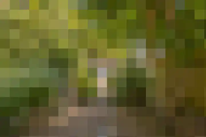 Prinsenlaan 3 Middelburg thumbnail 15