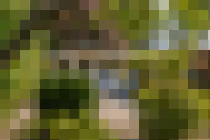 Prinsenlaan 3 Middelburg thumbnail 16