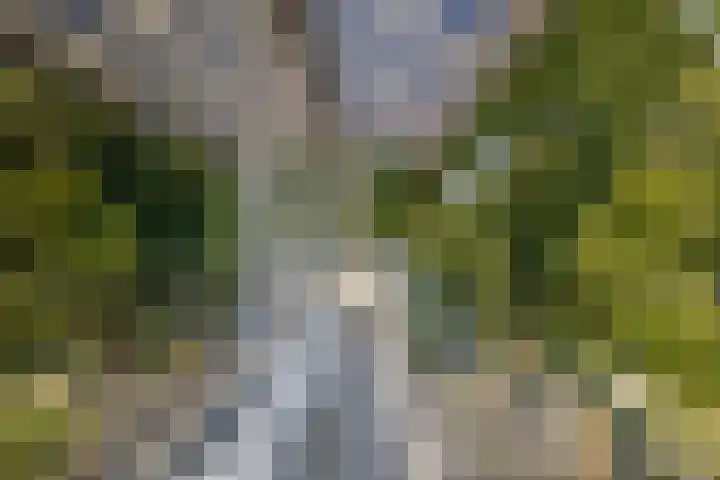 Prinsenlaan 3 Middelburg thumbnail 25