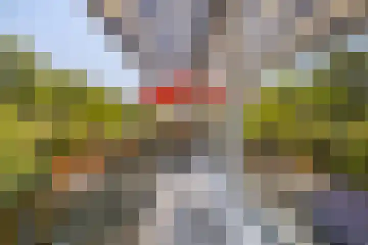 Prinsenlaan 3 Middelburg thumbnail 26