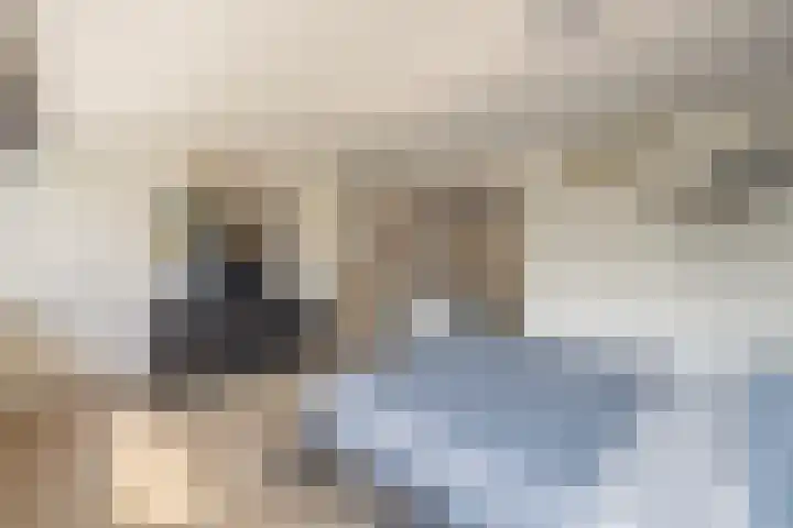 Prinsenlaan 3 Middelburg thumbnail 38