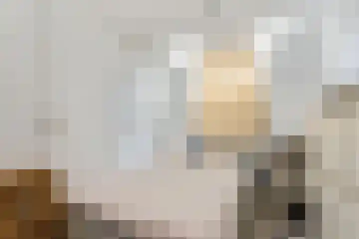 Prinsenstraat 4 E Hilversum thumbnail 9