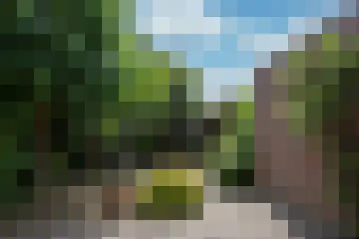 Prinsenstraat 41 Hasselt thumbnail 31