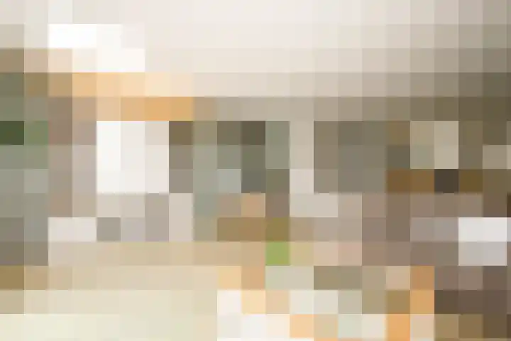 Prinsentuin 19 Zevenhuizen thumbnail 10