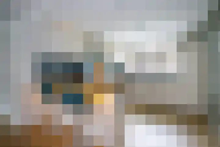 Prinsentuin 19 Zevenhuizen thumbnail 13