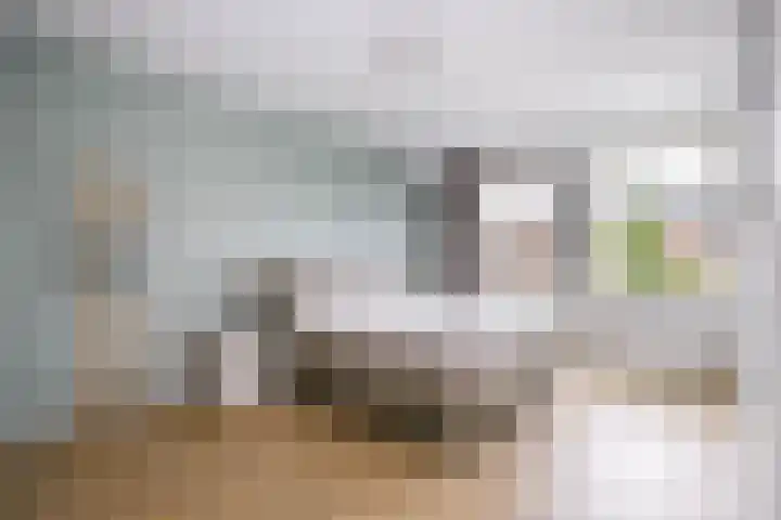 Prinsentuin 19 Zevenhuizen thumbnail 16