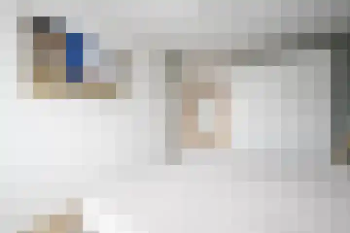 Prinsentuin 19 Zevenhuizen thumbnail 17