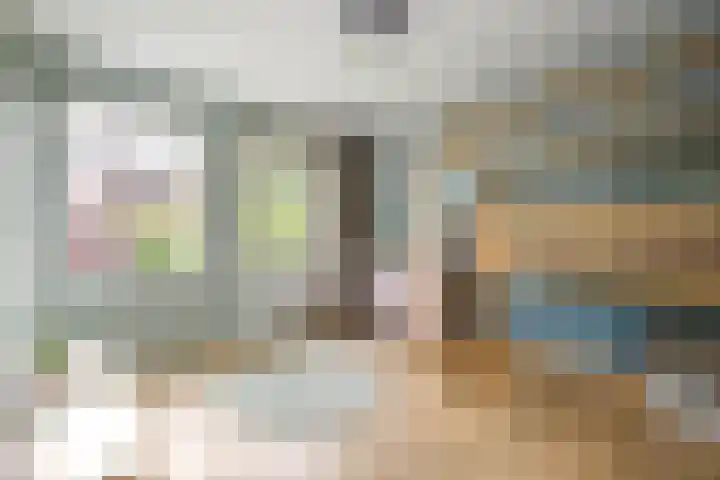 Prinsentuin 19 Zevenhuizen thumbnail 19