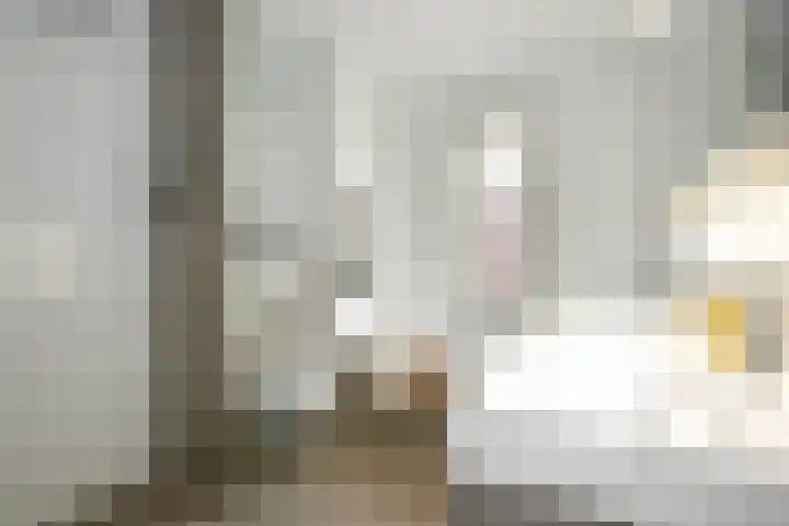 Prinsentuin 19 Zevenhuizen thumbnail 21