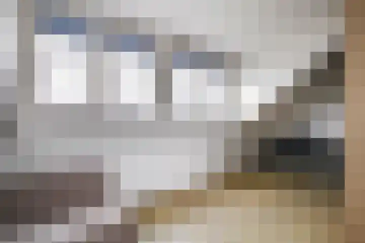 Prinsentuin 19 Zevenhuizen thumbnail 26