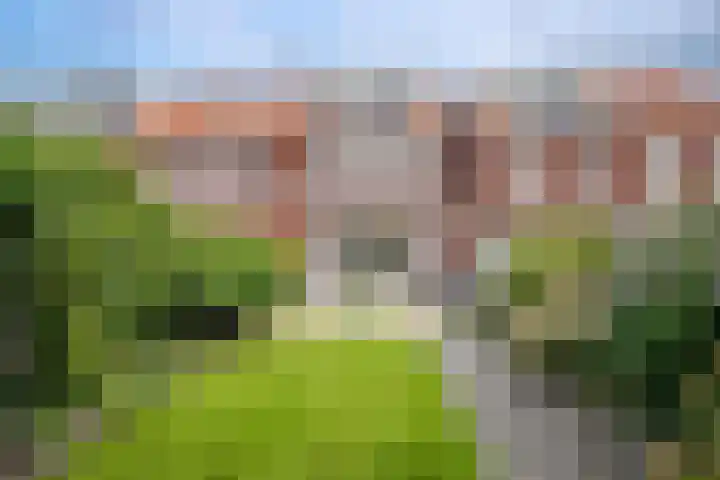 Prinsentuin 19 Zevenhuizen thumbnail 33