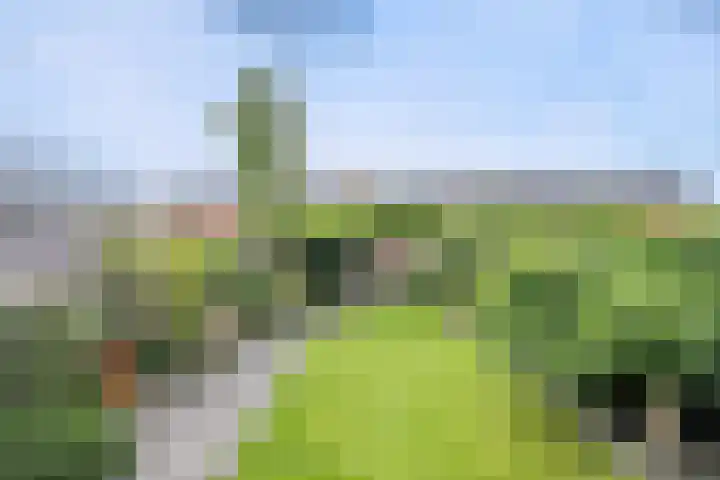 Prinsentuin 19 Zevenhuizen thumbnail 35