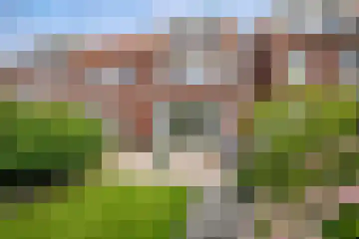 Prinsentuin 19 Zevenhuizen thumbnail 36