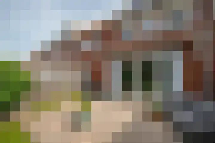 Prinsentuin 19 Zevenhuizen thumbnail 40