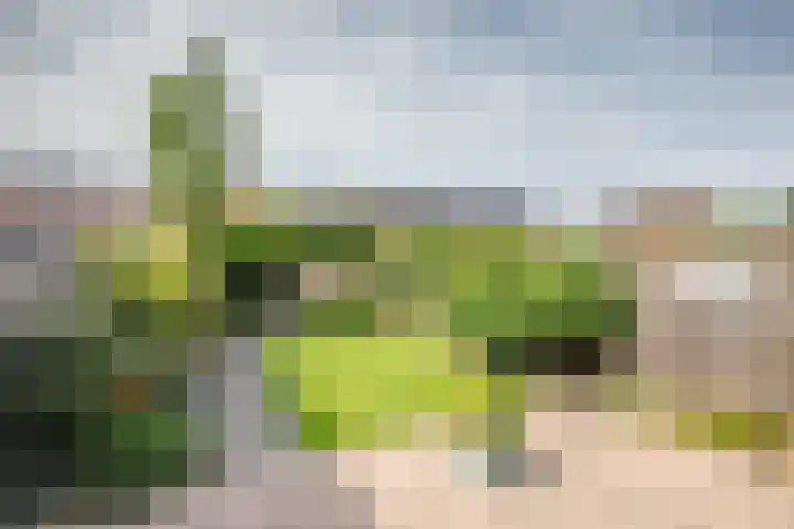 Prinsentuin 19 Zevenhuizen thumbnail 41