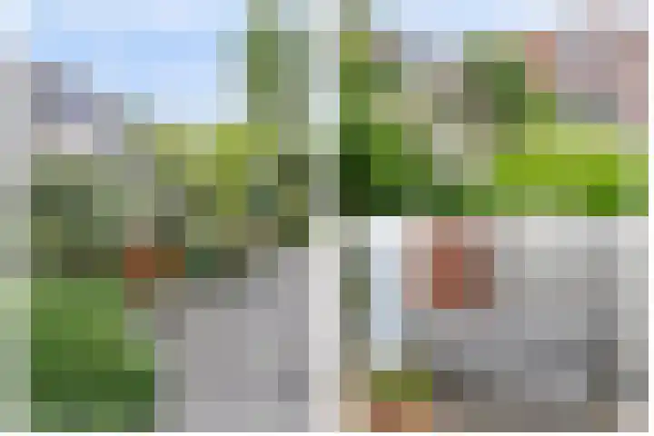 Prinsentuin 19 Zevenhuizen thumbnail 42