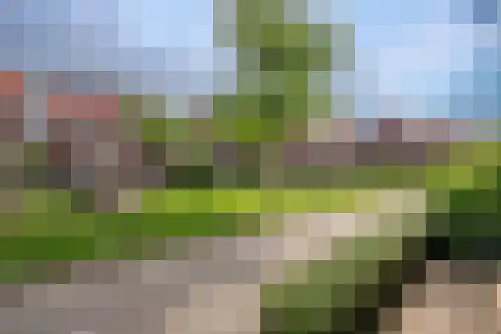 Prinsentuin 19 Zevenhuizen thumbnail 43