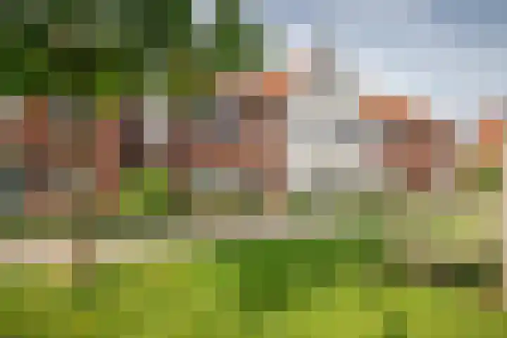 Prinsentuin 19 Zevenhuizen thumbnail 47