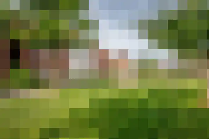 Prinsentuin 19 Zevenhuizen thumbnail 48