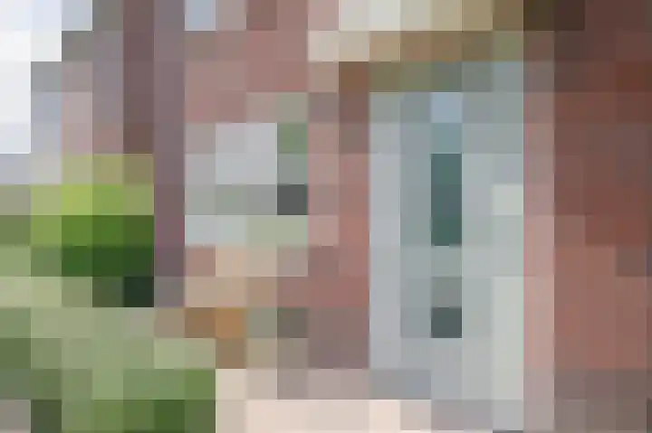 Prinsentuin 19 Zevenhuizen thumbnail 5