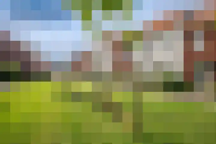 Prinsentuin 19 Zevenhuizen thumbnail 50