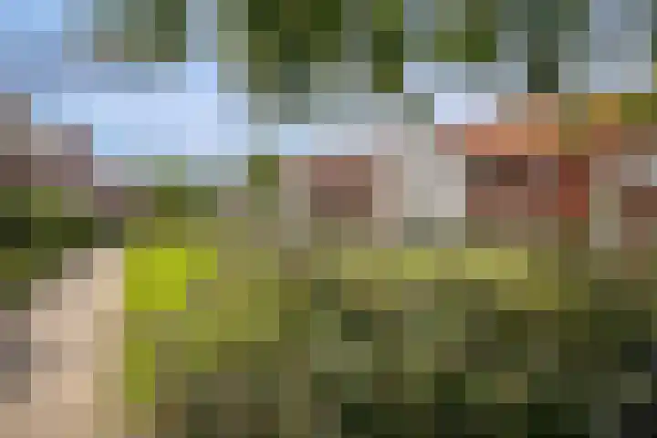Prinsentuin 19 Zevenhuizen thumbnail 54