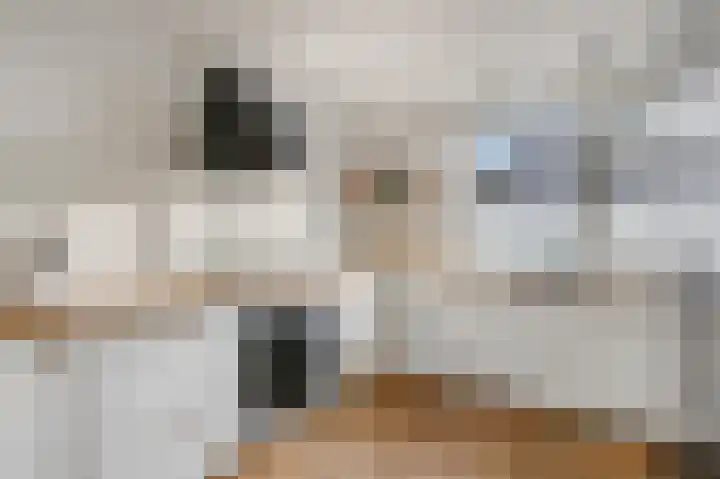 Prinsenweg 64 Elst Ut thumbnail 12