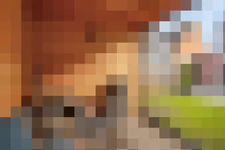 Prinsenweg 64 Elst Ut thumbnail 33