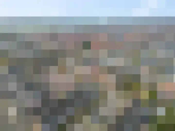 Prinsenweg 64 Elst Ut thumbnail 40