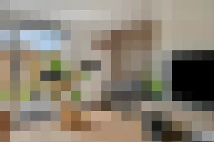 Prinsenweg 64 Elst Ut thumbnail 7