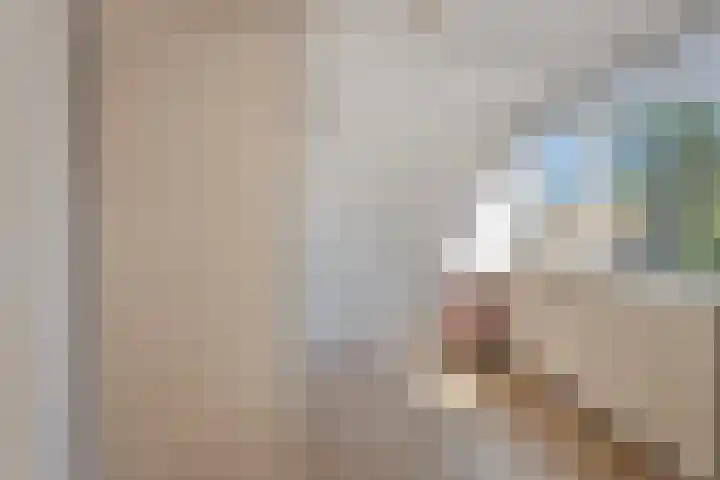 Prinses Beatrixlaan 10 Bathmen thumbnail 31