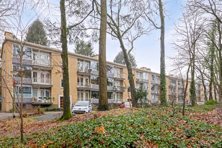 Prinses Marijkelaan 26-2 in Zeist foto