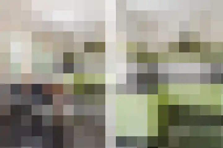 Prinsessekade 52 Haarlem thumbnail 15