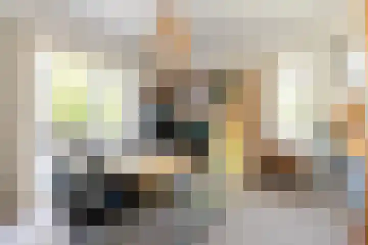 Prinsessekade 52 Haarlem thumbnail 23