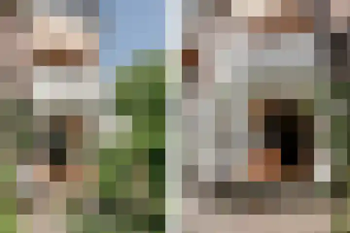 Prinsessekade 52 Haarlem thumbnail 33
