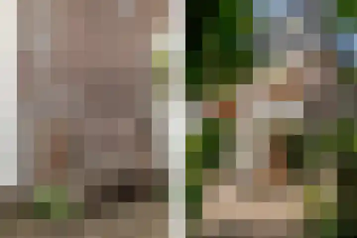Prinsessekade 52 Haarlem thumbnail 35