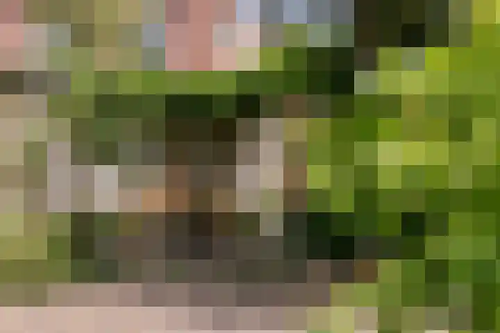 Prinsessekade 52 Haarlem thumbnail 44