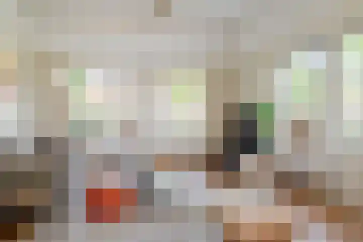 Prinsessekade 52 Haarlem thumbnail 8