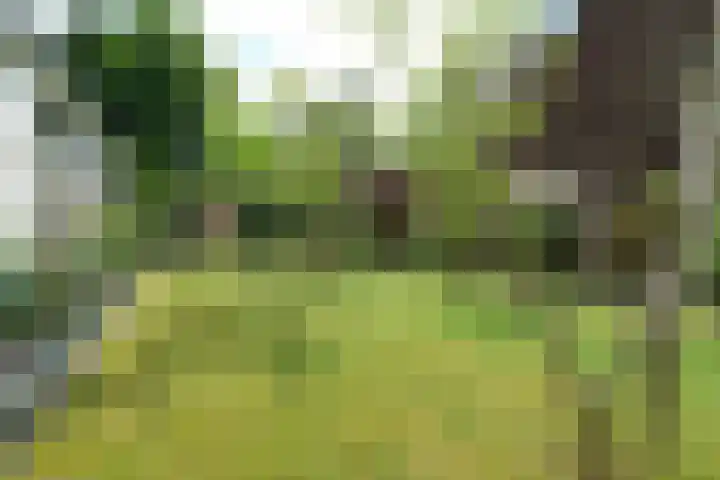 Prinsesselaan 37 Ede thumbnail 26