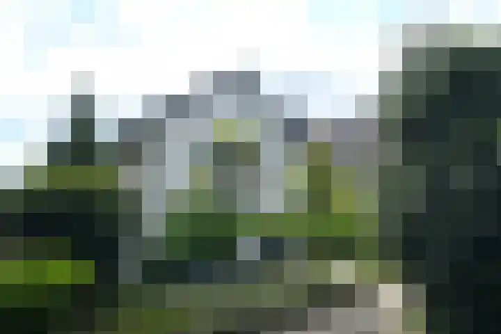 Prinsesselaan 37 Ede thumbnail 32