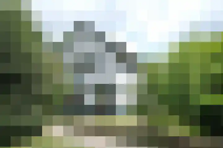 Prinsesselaan 37 Ede thumbnail 42