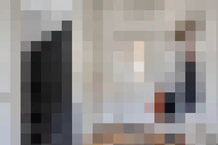 Prinzenstraat 19 Gemert thumbnail 10