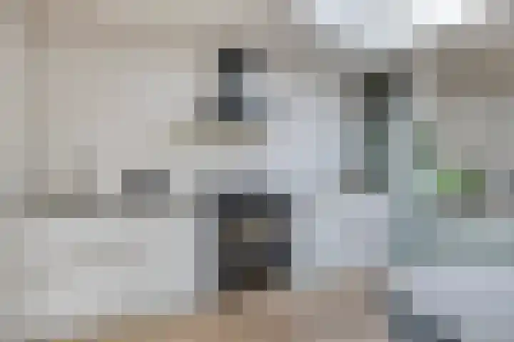 Prinzenstraat 19 Gemert thumbnail 21